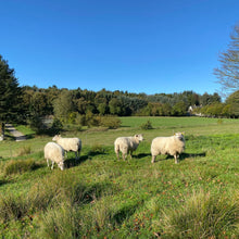 Indlæs billede til gallerivisning Ninas Bandana Strikkeopskrift