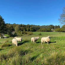 Indlæs billede til gallerivisning Hannas Dansekjole Strikkeopskrift