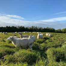 Indlæs billede til gallerivisning Kram Sjælevarmer Strikkeopskrift
