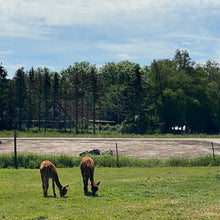 Indlæs billede til gallerivisning Alpakalicious Yogasæt og Pandebånd Strikkeopskrift